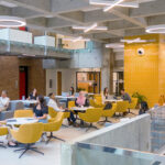 11-Windsor-Law